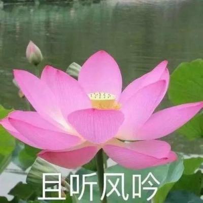 10版党建 - 永葆初心为民造福（金台潮声）